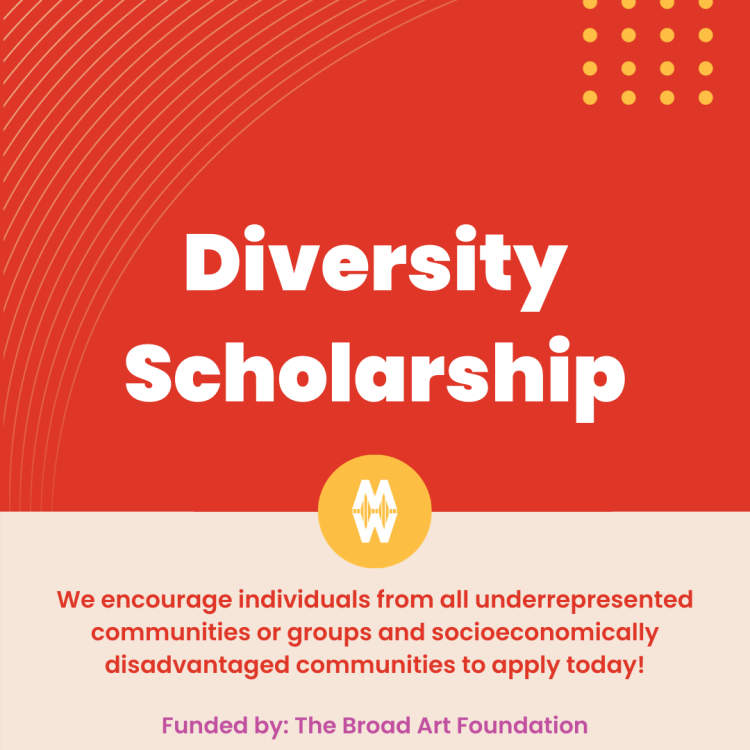 Diversity scholarships in the UK