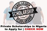 Private scholarships for German study