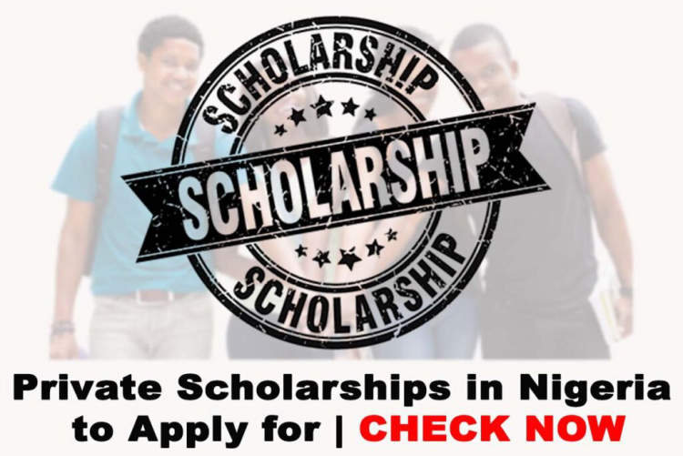 Private scholarships for German study